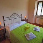 Mansion In Near